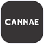 CNNE