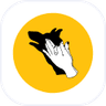 COE