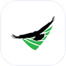 UAVS