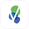 VSTM