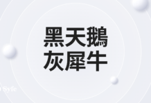 黑天鵝與灰犀牛:投資者必須認識的2大風險管理術語