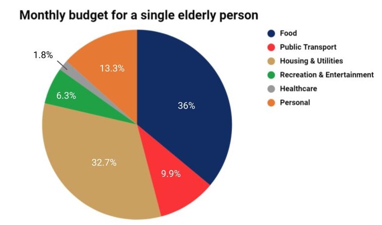 Monthly budget for a single elderly person