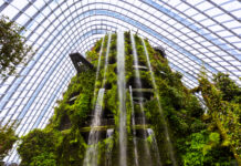 CDP vs Custodian: Singapore Investor Guide