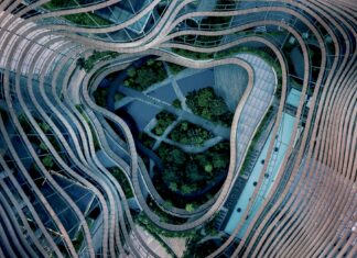 A Comprehensive Guide to Syfe’s Cash+ Guaranteed