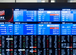 Interest Rates at 5%: What It Means for Your Investments