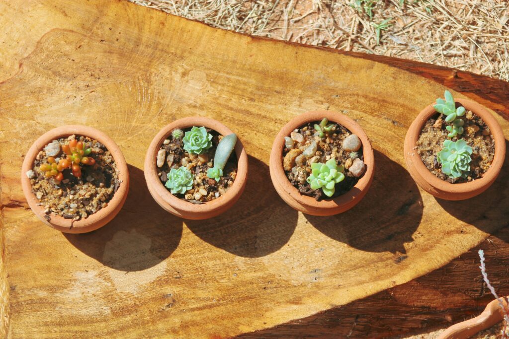 four buckets of wealth